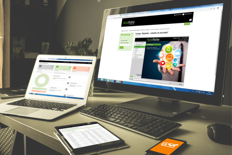 Autoflotte DriversCheck